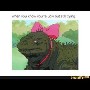 Meet your Posher, Stella